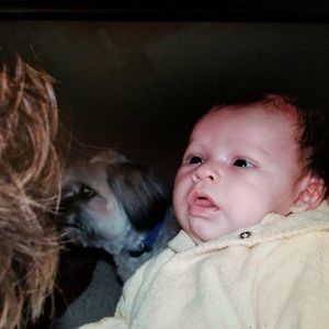 Meet your Posher, Allyse